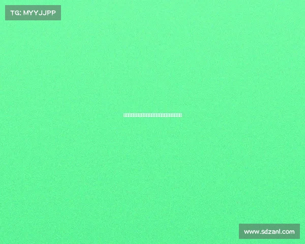 桑乔加盟维拉谢拉什福德助力交易马丁内斯转会梦碎